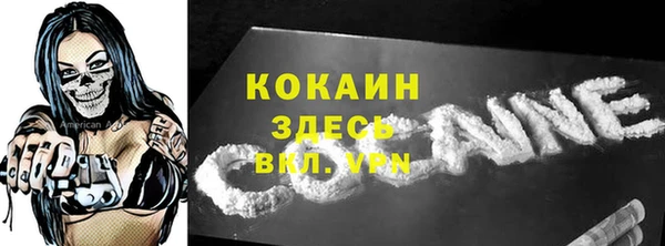 ECSTASY Богородицк