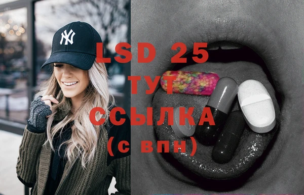 ECSTASY Богородицк