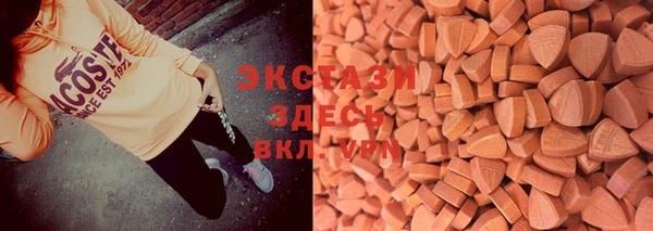 ECSTASY Богородицк