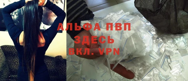 ECSTASY Богородицк
